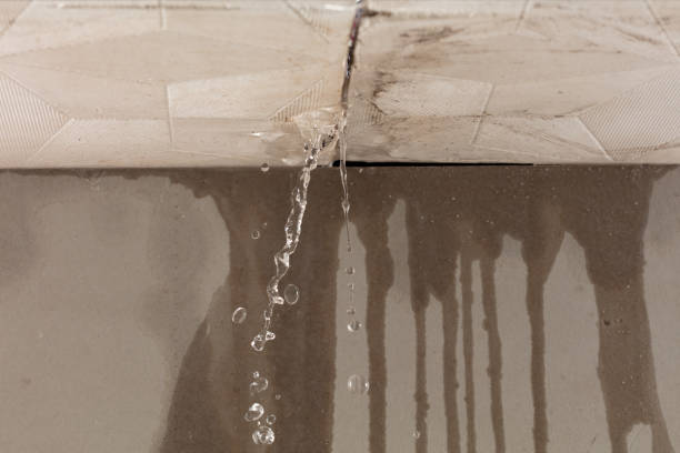 Professional Water Damage Inspection technician working in Christiana, TN